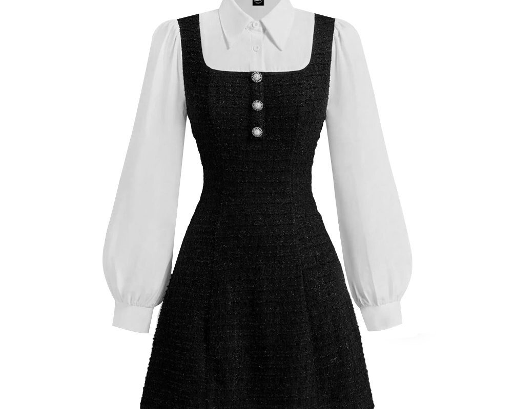 Black and White A-Line Dress (1)